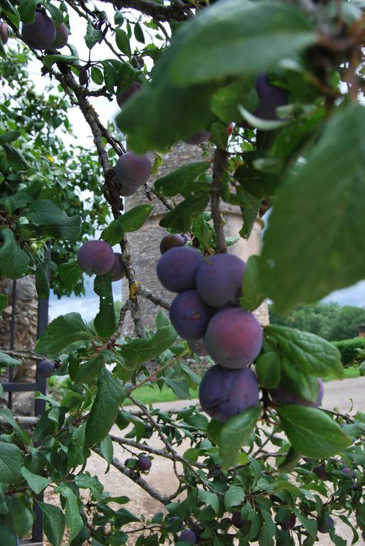 Mas De Garrigue Calvignac Exterior foto